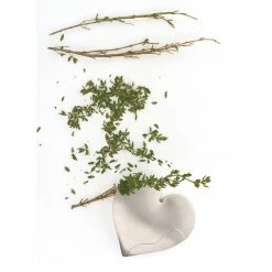 Brand new ๐ RSVP International Herb Stripper ๐ 13 Brand new ๐ RSVP International Herb Stripper ๐ -kitchen tools Sales 5bc1fdc30148dba6 7719 w800 h800 b1 p0