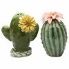 Wholesale ✨ Cosmos Gifts Corp. Cactus Salt And Pepper Shaker 🧨 -kitchen tools Sales d33199ea0bacdc77 2356 w800 h800 b1 p0