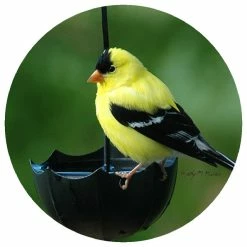 Deals 🧨 Andreas Kathy Miller Gold Finch Jar Opener 💯